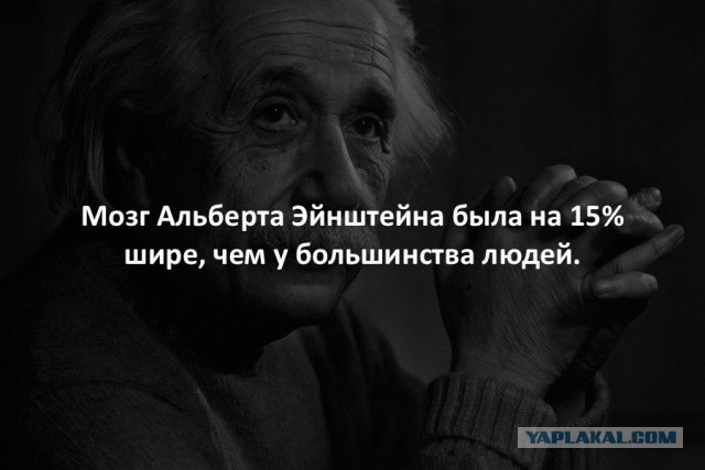 44 интересных факта в картинках. Продолжение