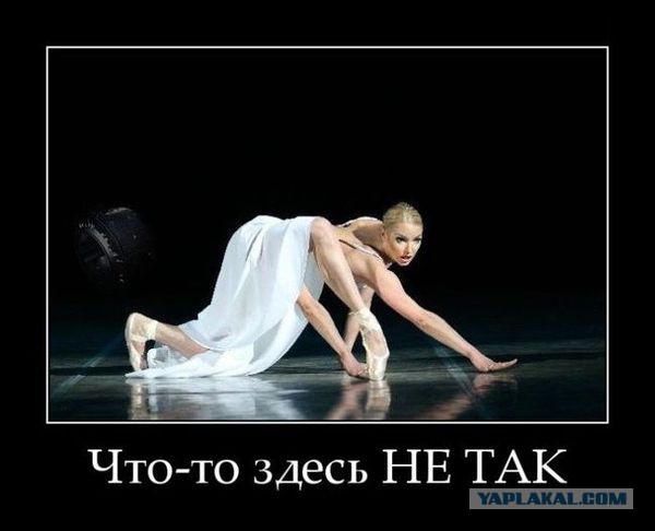 Узнай "звизду" по позе