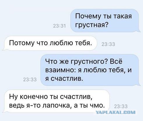 Смешные комментарии из социальных сетей 17.02.2016
