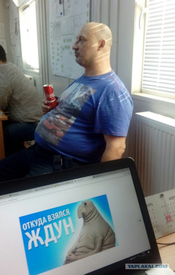 Порция картинок
