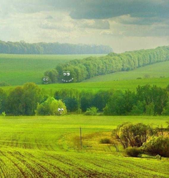 Подборка безудержного веселья