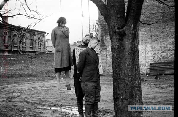 "Русские не осмелятся сопротивляться": Инна Богословская рассказала, как поработить народ Донбасса