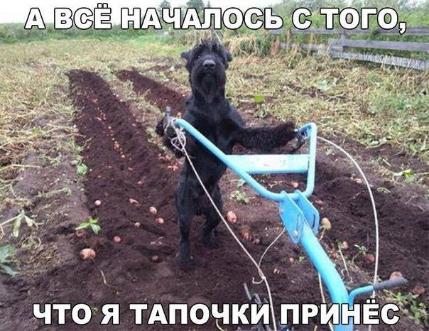 Нестандартный юмор