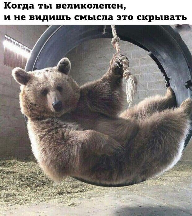 Нестандартный юмор