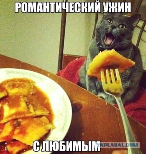 Юмор и несуразности в картинках