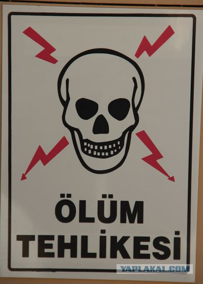 Окологламурные сударыни