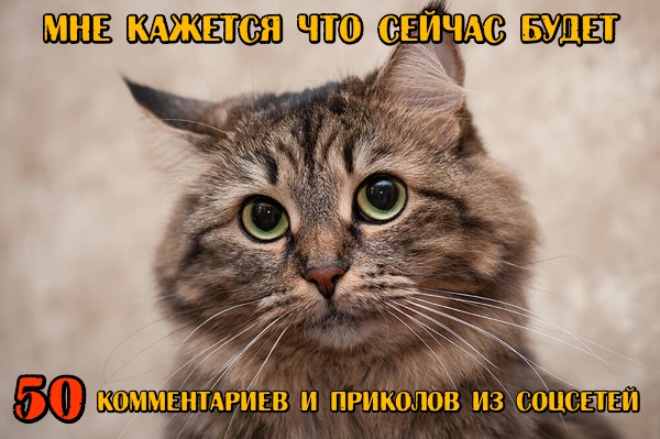 Галерея смотреть картинки смешные картинки смотреть картинки смешные картинки