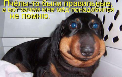 Итоги проверки пользователей