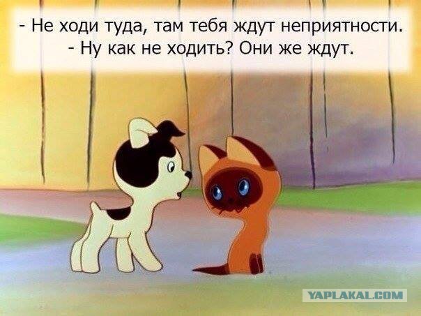 Всякие разные жизненные шпаргалки и таблицы