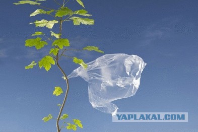 1 Канал учит экономии
