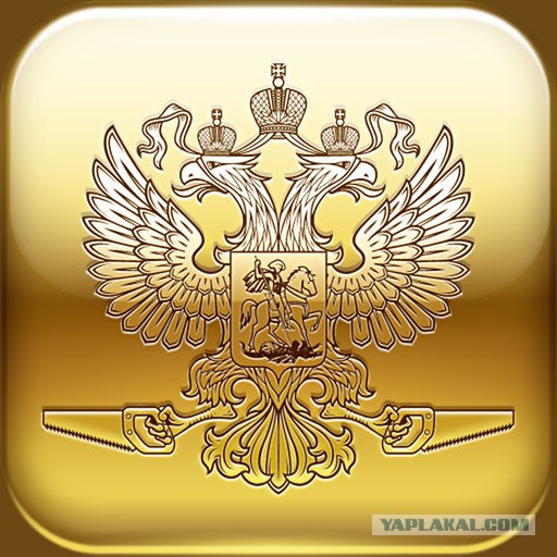 Прототип аэротакси упал во время презентации в «Сколково»
