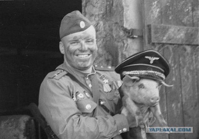 Ну кому нужна война? Никому конечно!