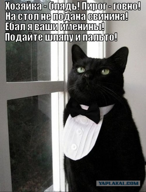 Сильным и независимым женщинам