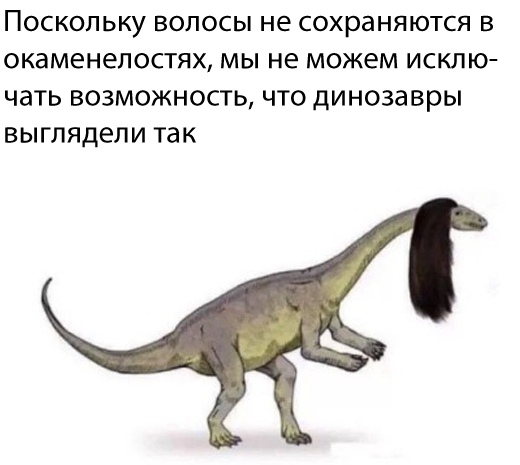 Картинки с надписями, истории и анекдоты 02.11.19