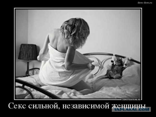 "В лес! Идите в лес!"
