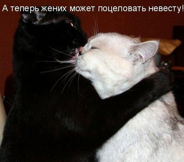 Чуток картинок.  Вечерние