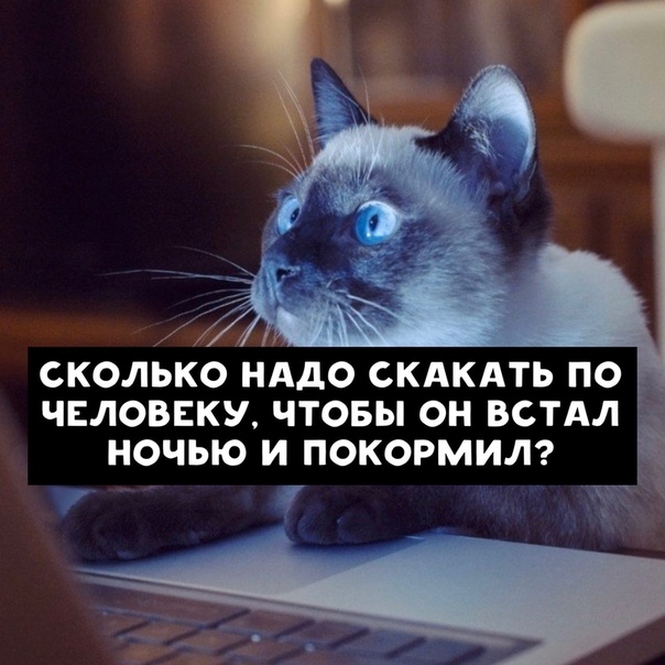 Немного картинок для настроения 16.05.20