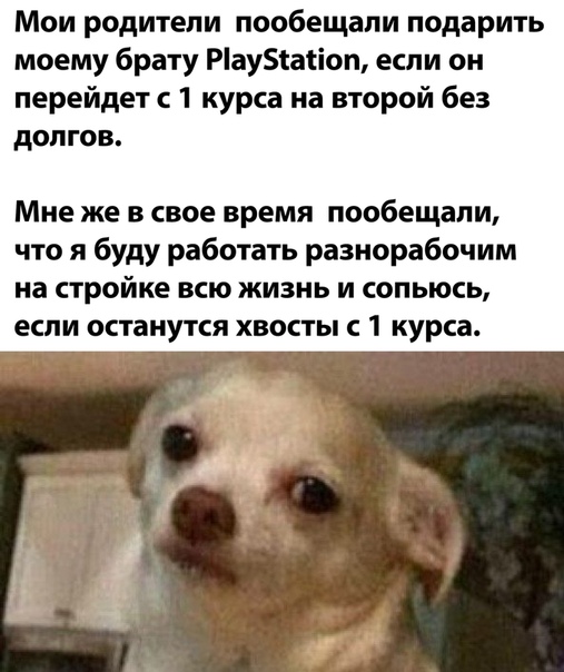 Немного картинок для настроения 16.07.20