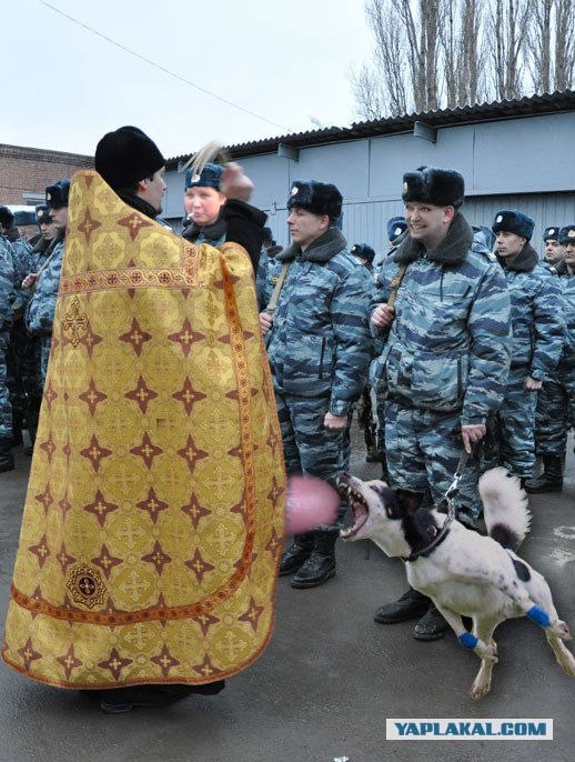 Во имя отца, сына....