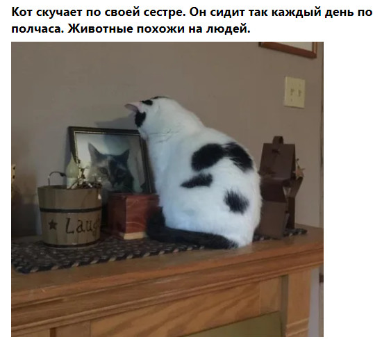 Фото-винегрет-3. Картинки ниапчём и обо всём