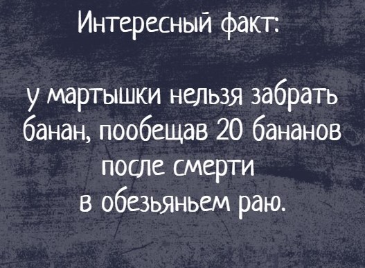 За прогрессивное будущее без религиозного мракобесия