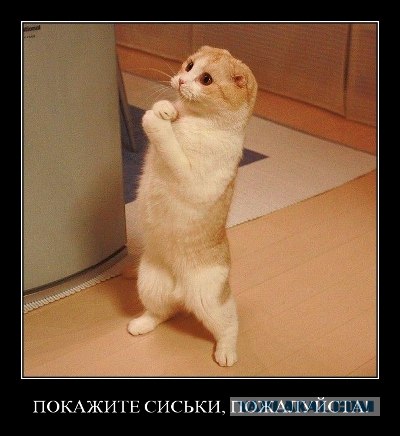 Как я голой снималась. (16+)