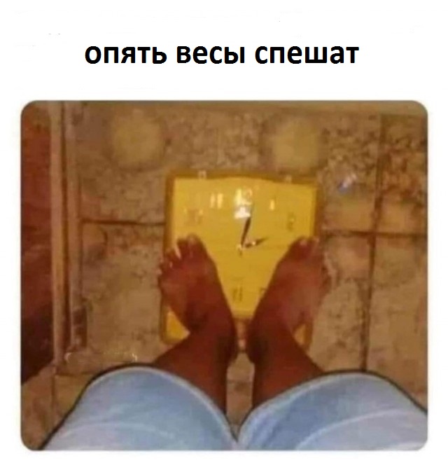 Весёлый полтишок 5.05