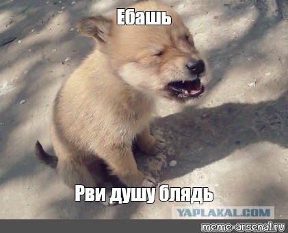 Почему свободные мужчины раздражают женщин