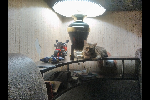 И ни капли не стыдно