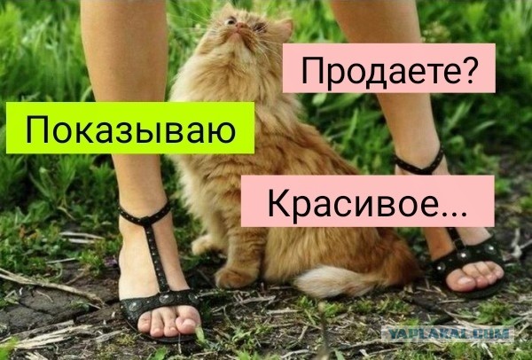 Почему размер пениса неважен