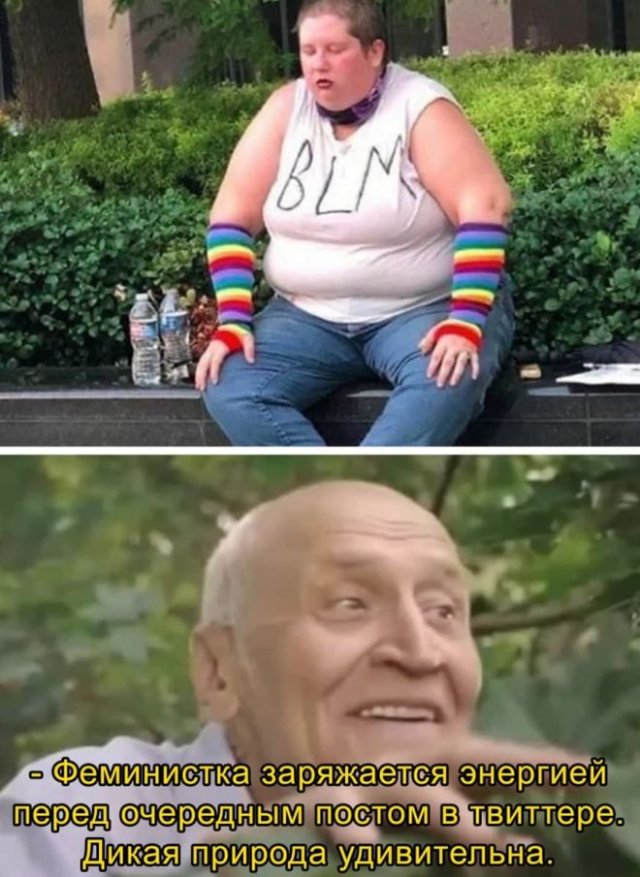 "Купил коту игрушку" и другие картинки