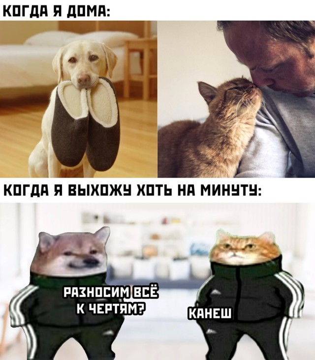 Картинки и мемы для настроения 27.01.2022