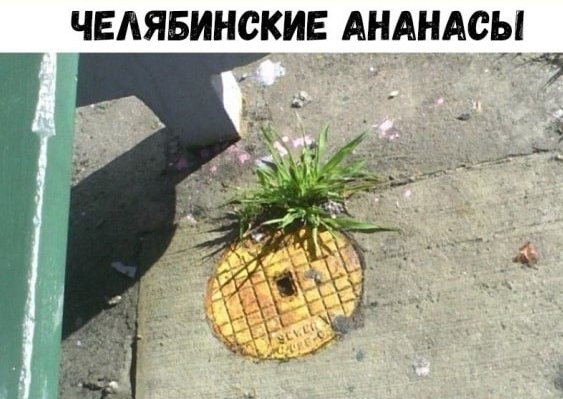 Картинки и мемы, всем прекрасных выходных