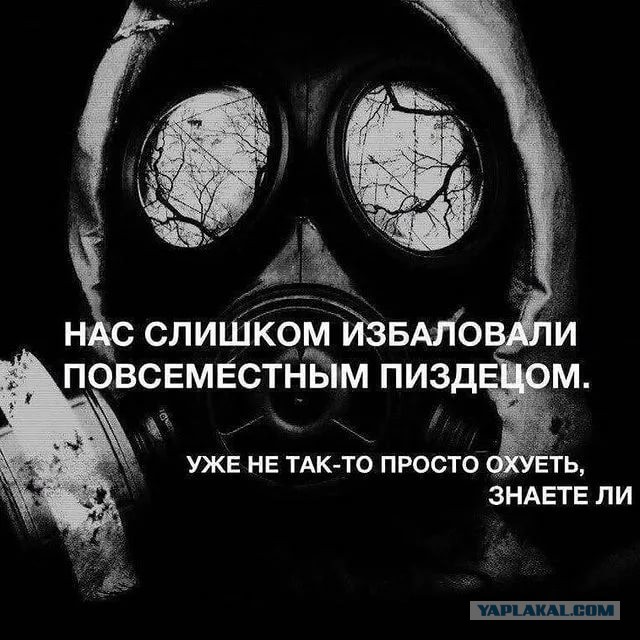 То тарелками пугают — Дескать, подлые, летают, То у вас собаки лают, То руины говорят!