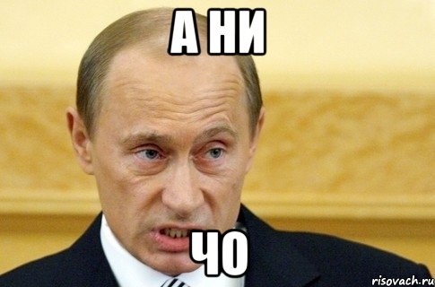 Есть с кем поговорить