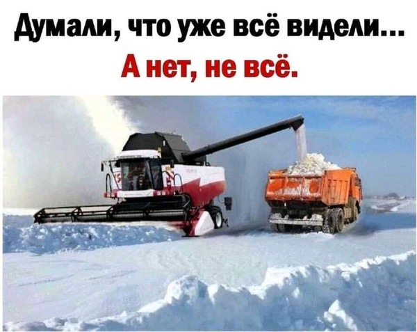 Чуток картинок 22.07.22
