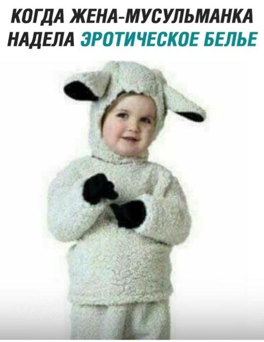 Народная меДИЧина 5024