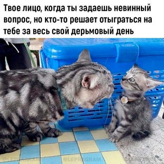 Картинки и мемы, всяко разно - 179
