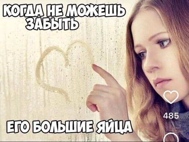 Весёлый полтишок 21.08.23