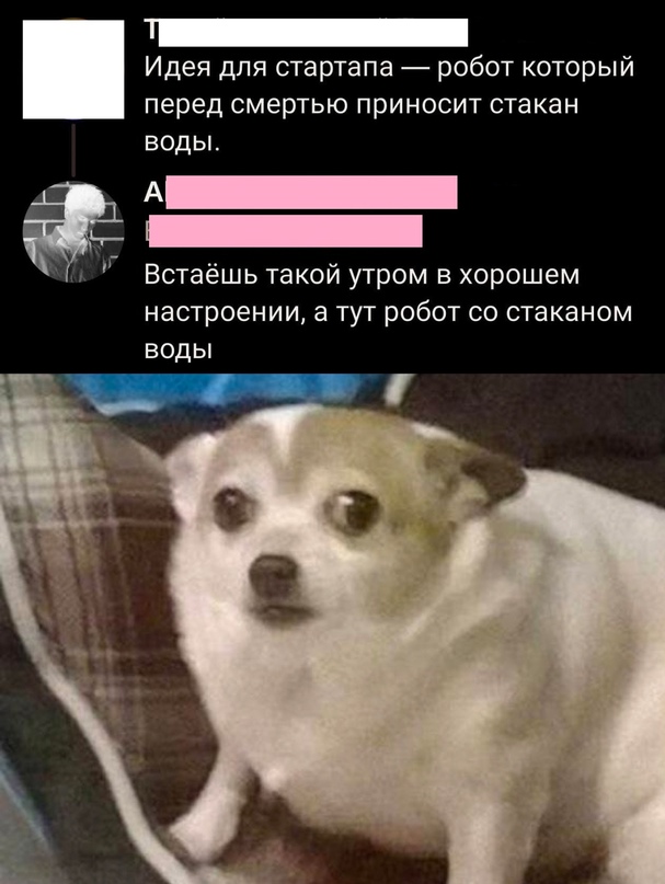 Весёлый полтишок 08.09.23