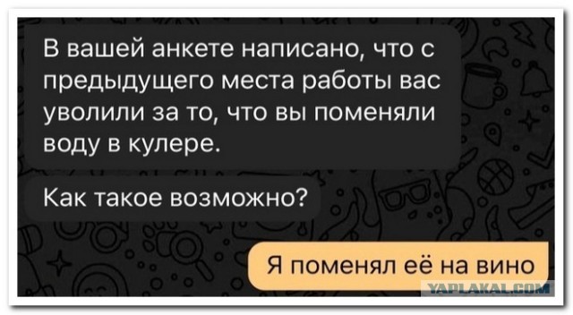 Забавные комментарии из социальных сетей (27.11.23)