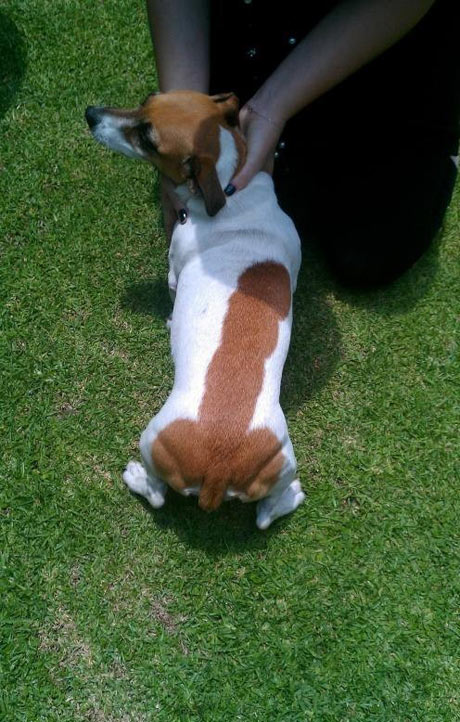 Фотоподпорка мирного времени