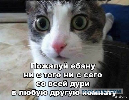 Эх, искупнусь !