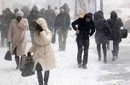 Весёлый полтшок 09.05.24