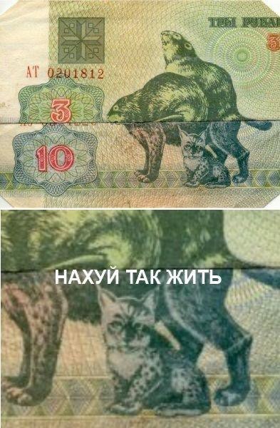 Всего понемногу. От 29.07