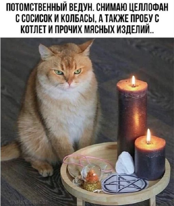 Картинки разные с надписями и без