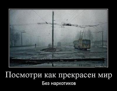 Анекдот дня