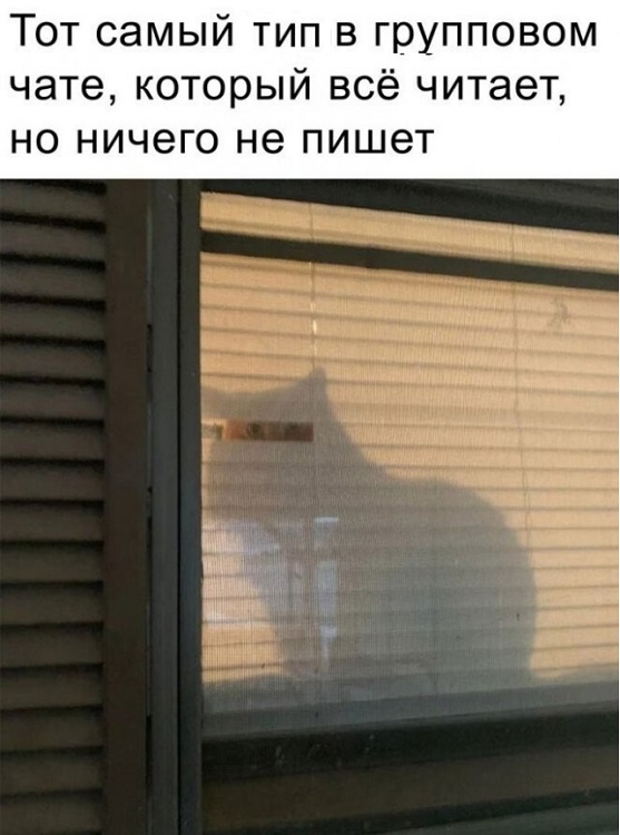 Картинки разные с надписями и без