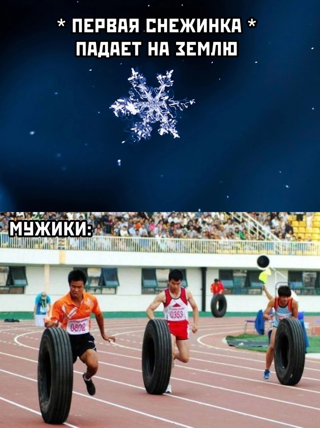 Весёлый полтишок 01.11.24