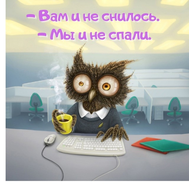 Веселые картинки в понедельник (11.11)
